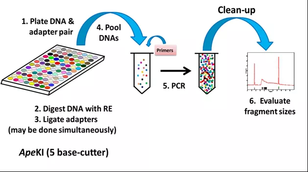 Xét nghiệm mới GBS PCR